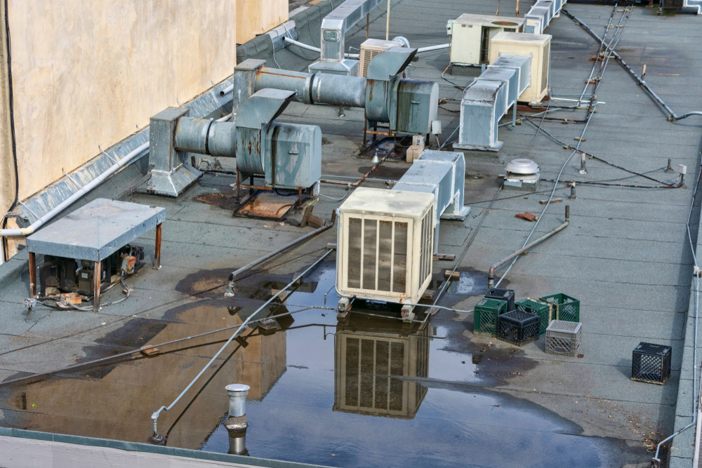 How Do I Know If My Roof Is Leaking?